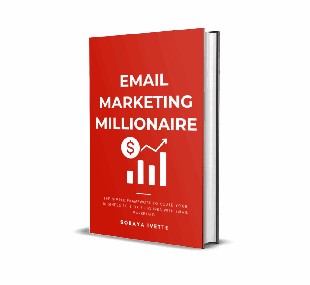 Email Marketing Millionaire Book