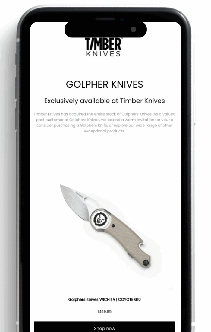 Email Template Design Soraya Ivette